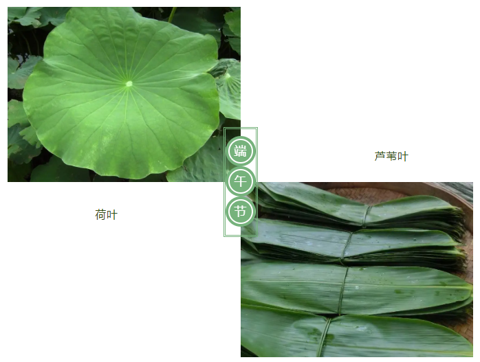 世界杯官方入口医纺