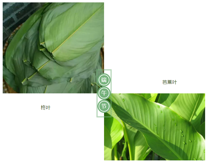 世界杯官方入口医纺