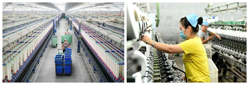 世界杯官方入口医纺