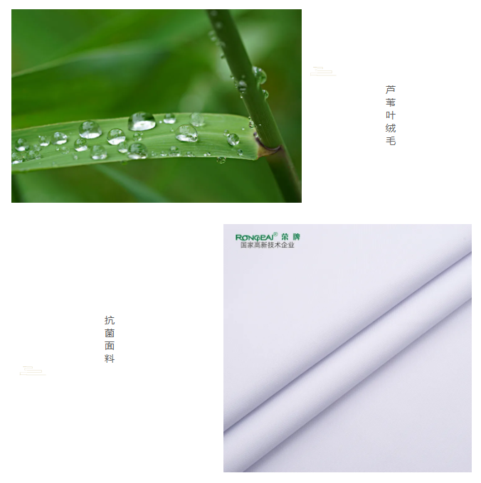 世界杯官方入口医纺