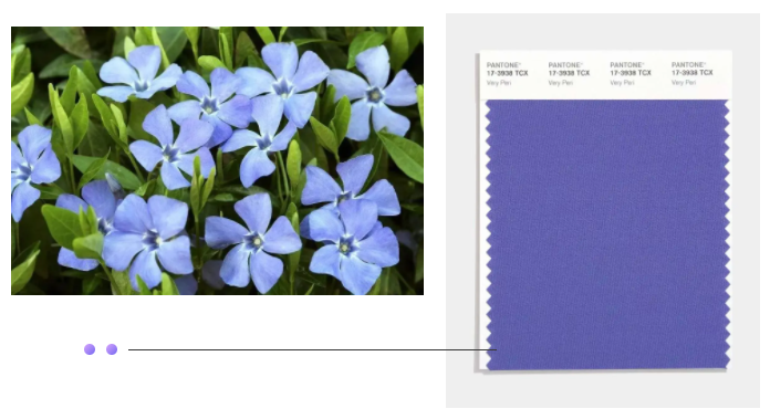 世界杯官方入口纺织面料