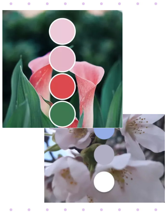 世界杯官方入口纺织面料