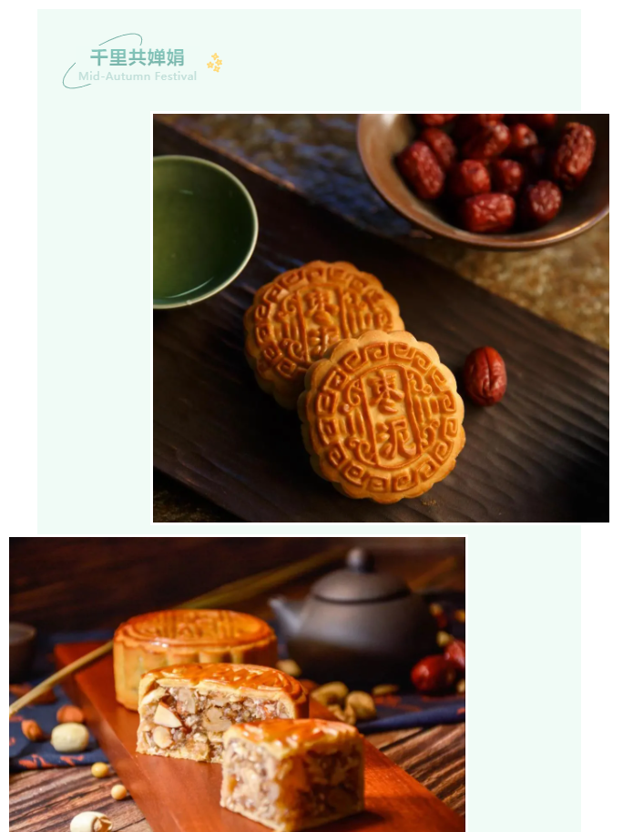 世界杯官方入口医纺